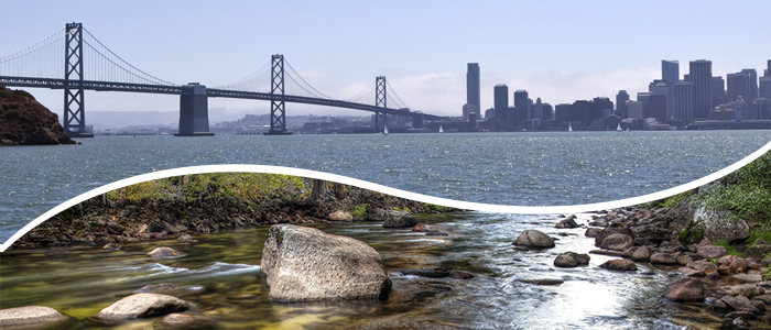 San Francisco and the Bay Bridge viewed from Treasure Island.